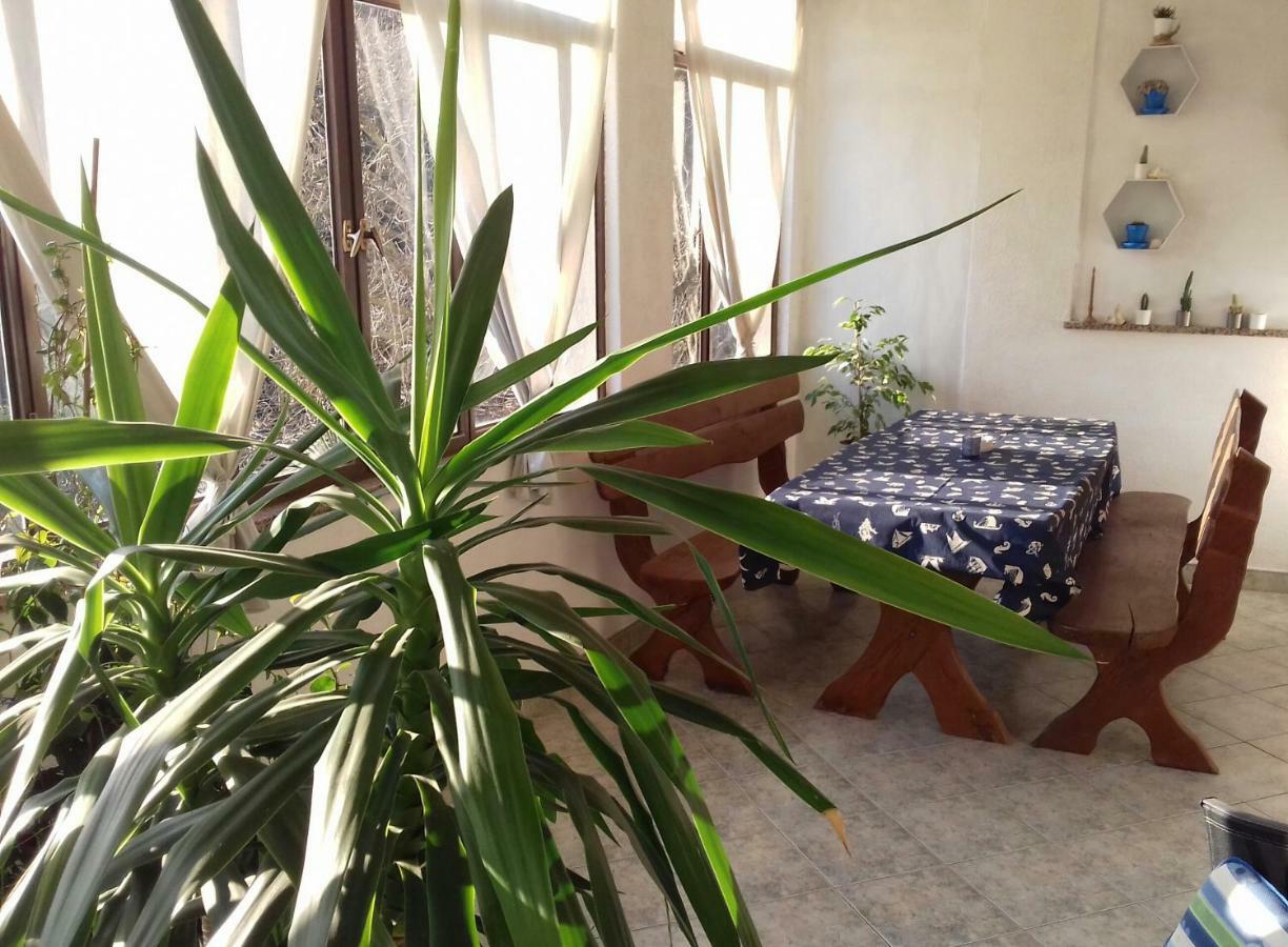 Apartments Martina Banjole Εξωτερικό φωτογραφία